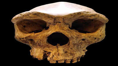 In 1921, a miner’s dynamite blast in Zambia unearthed a face that rewrote the map of human evolution |