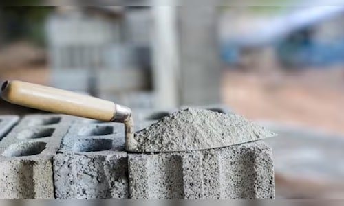 Shree Cement Ltd. Q4 profit slips 4% YoY, nearly doubles sequentially