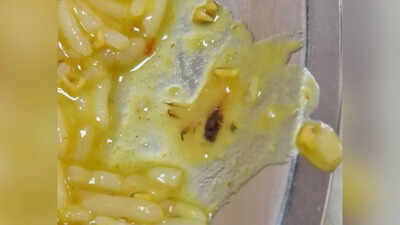 Cockroach found in food at RML doctors’ hostel mess, probe ordered | India News