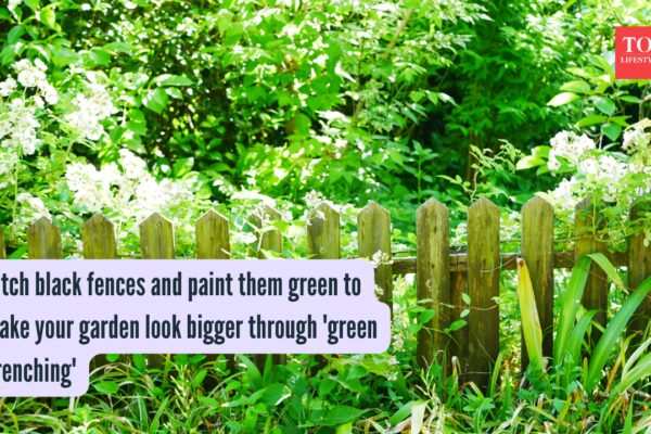 Green Drenching: Ditch black fences and paint them green to make your garden look bigger through 'green drenching'
