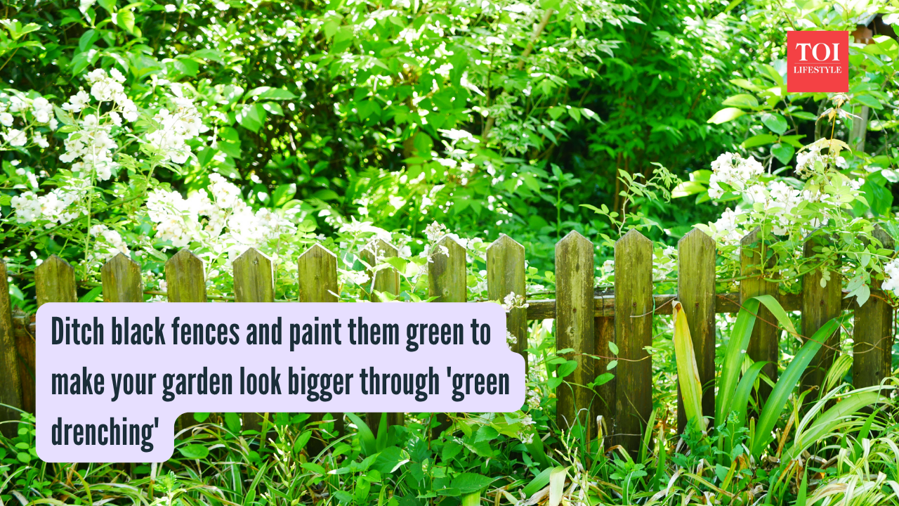 Green Drenching: Ditch black fences and paint them green to make your garden look bigger through 'green drenching'