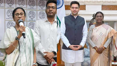 Mamata Banerjee Declares Herself a 'Free Bird', Raghav Chadha Alleges Vendetta Politics | India News