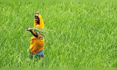 PM Kisan next Instalment: What farmers need to know right now