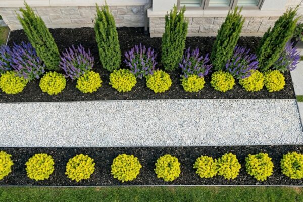 The narrow bed mistake: Why your slim front garden looks cluttered instead of elegant |