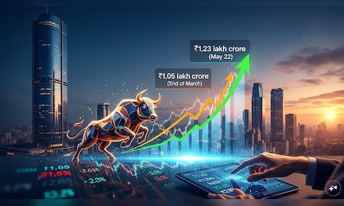 Here are the top 10 leveraged stocks in India’s ₹1.23 lakh crore MTF book