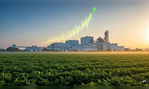 RCF Q4 Results: Fertiliser maker’s profit more than doubles; margins improve