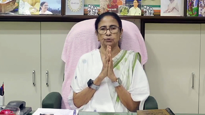 'When you fall from power in Delhi ...': Mamata accuses BJP of 'state terrorism', invokes Constitution | India News
