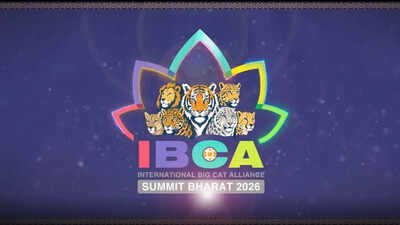 India Calls for Global Participation in Big Cat Conservation Summit Ahead of IBCA Launch | India News