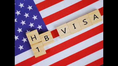Indian-origin founder in Canada says people talk about H-1B as if Indians randomly woke up one day, booked flights, started taking US jobs