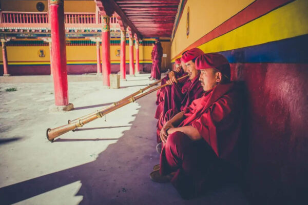 Zanskar Valley: Meet the cutest ‘toll collectors’ in the Himalayas and why Zanskar deserves a spot on every traveller’s bucket list