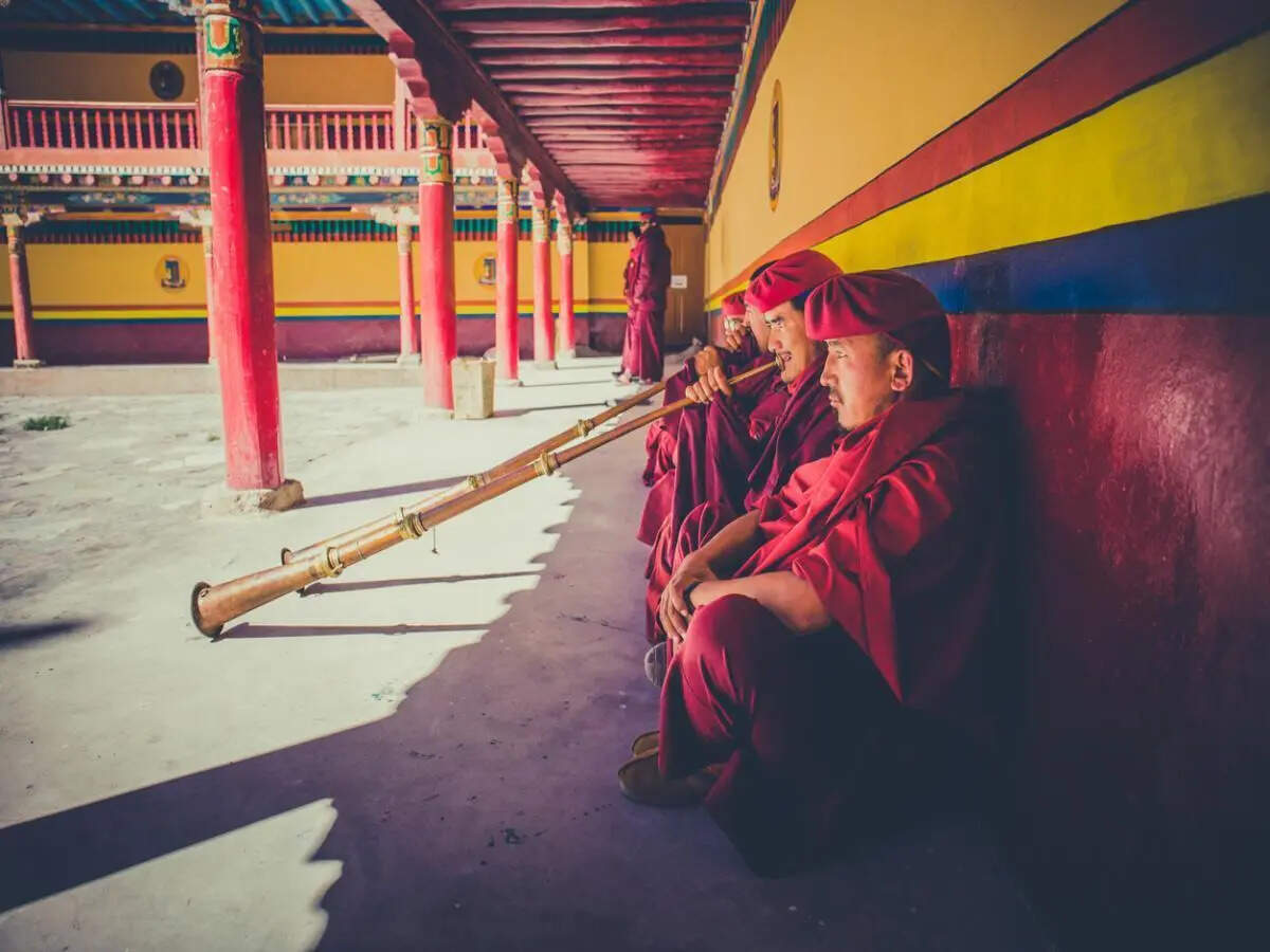 Zanskar Valley: Meet the cutest ‘toll collectors’ in the Himalayas and why Zanskar deserves a spot on every traveller’s bucket list