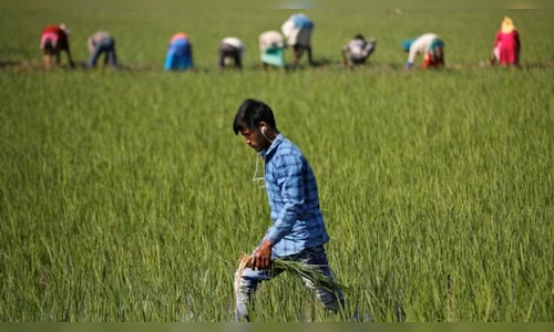 Meghmani Organics Q4 Results: Shares fall after profit drops, margin shrinks