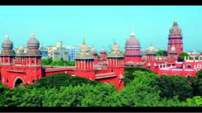 Madras high court bans cow, calf slaughter in TN | Chennai News