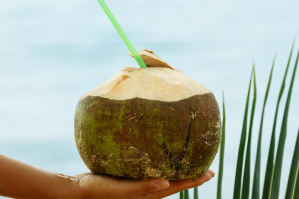 Heat draining you daily? Coconut water might be the simplest fix you’re ignoring, here’s why