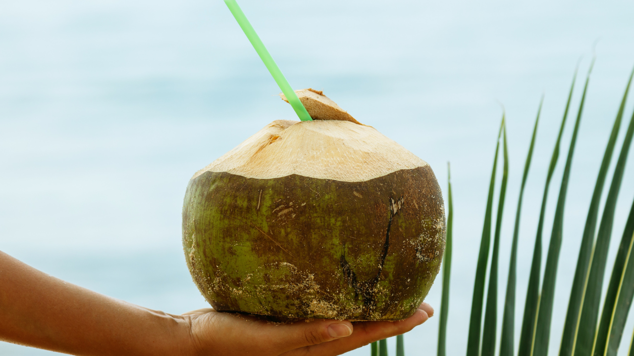 Heat draining you daily? Coconut water might be the simplest fix you’re ignoring, here’s why