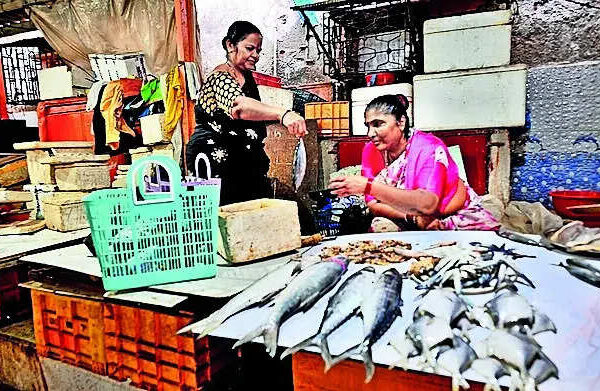 Koli women chart new waters, set up seafood company | India News