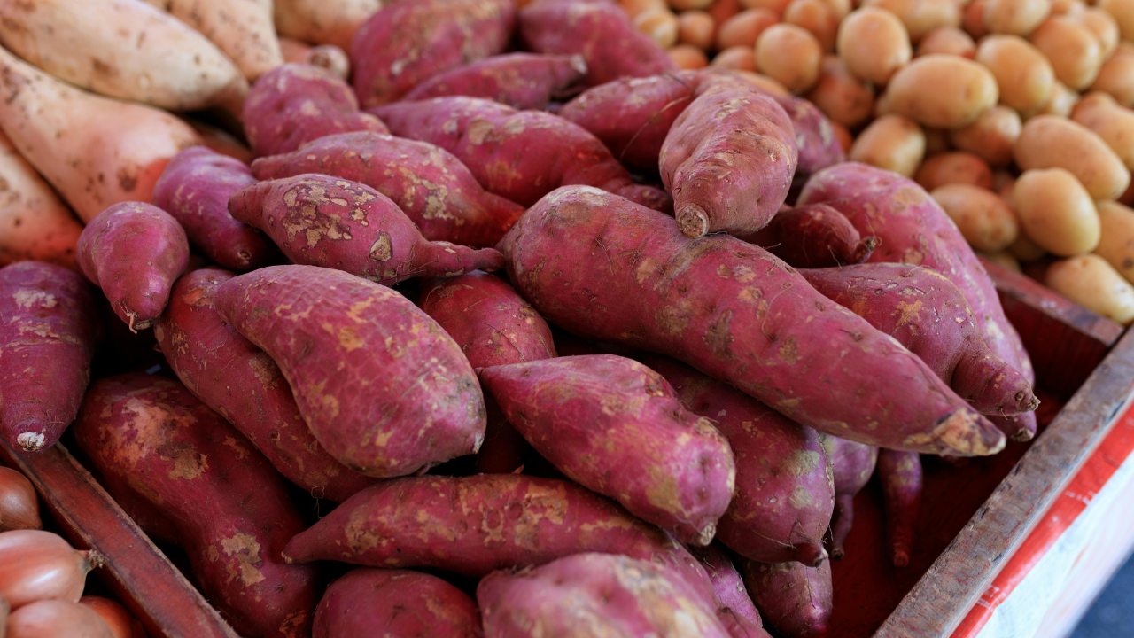 Which one is actually healthier for your body?