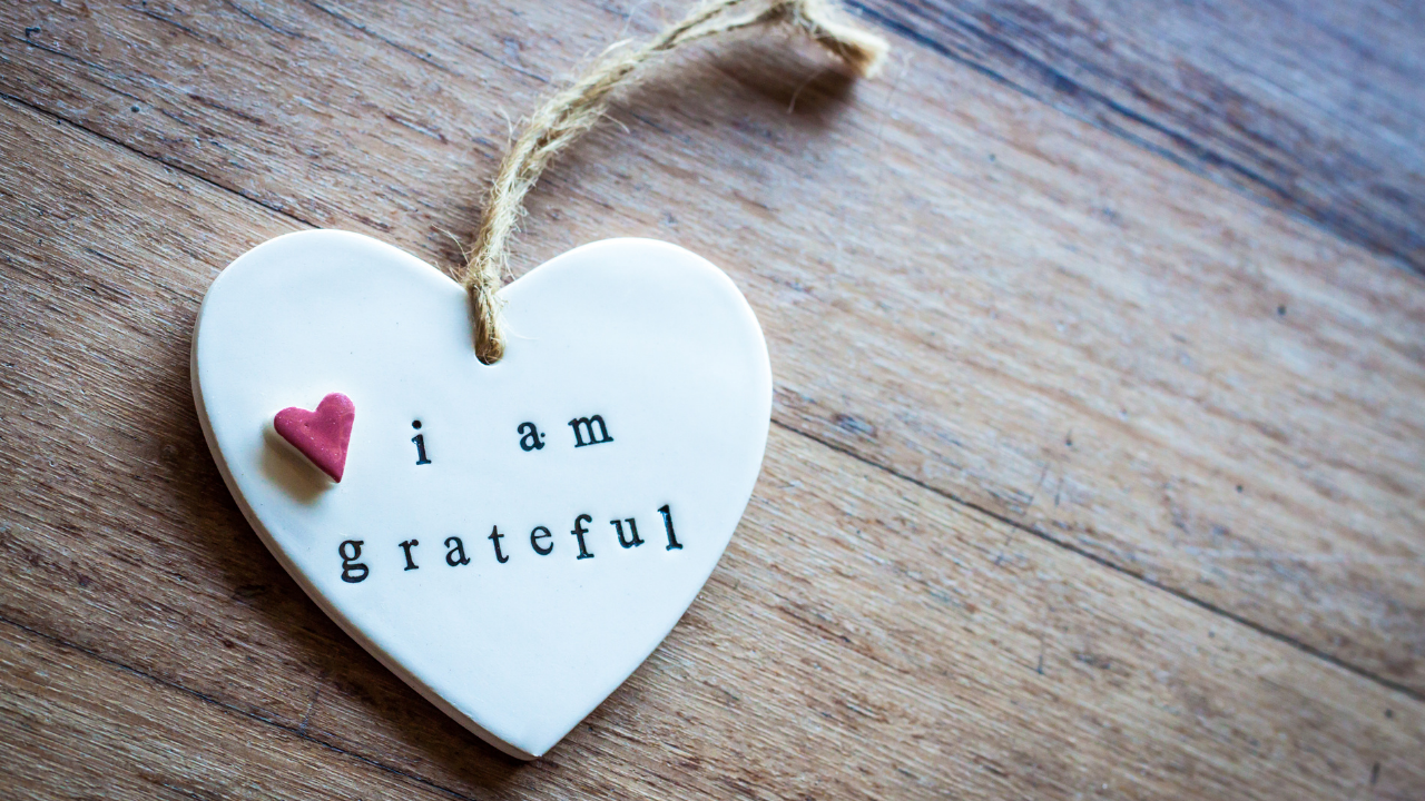 “The soul grows quieter when gratitude grows louder”