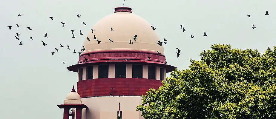 CBSE's 3-language scheme doesn't hit federalism, but will study infra constraints: Supreme Court | India News