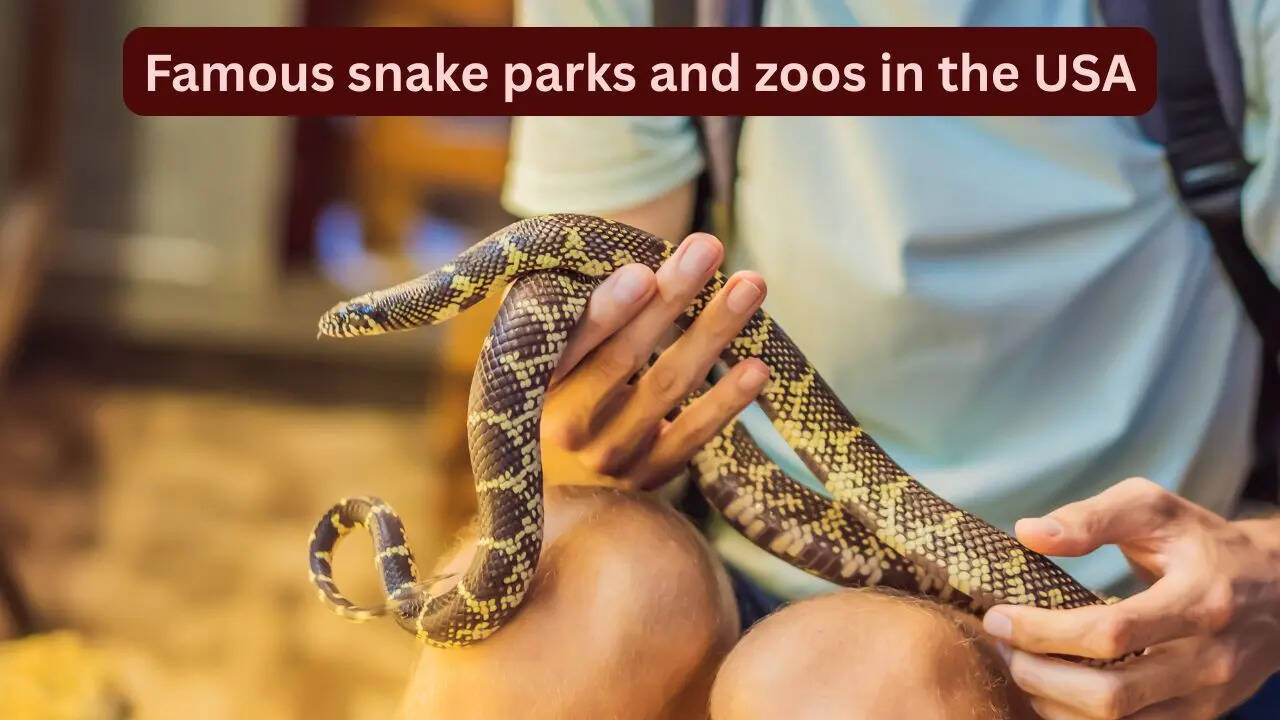10 famous snake parks and zoos in the USA every wildlife traveller should visit and how to reach here
