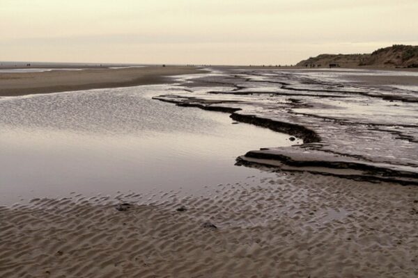 Archaeologists discovered an 8,000-year-old coastal superhighway marked by human and animal footprints |