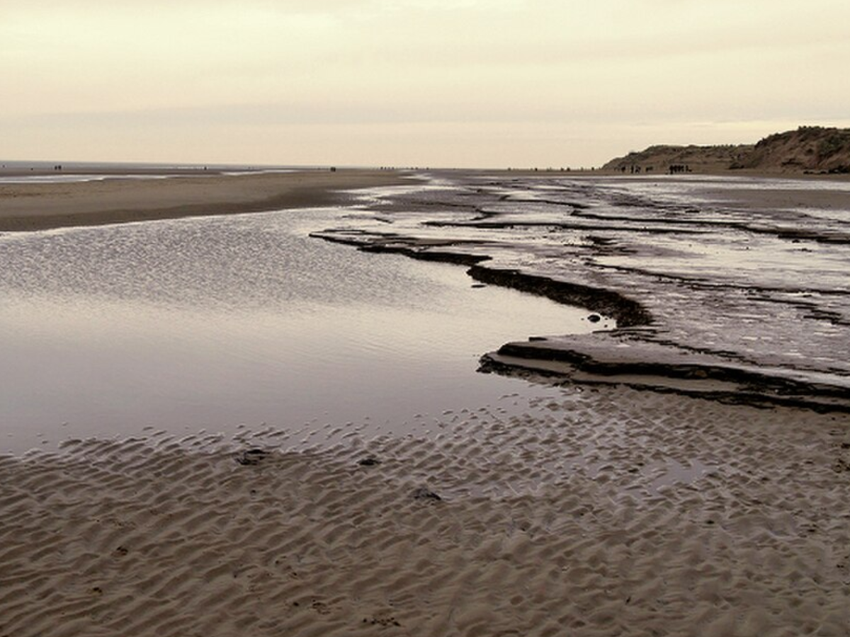 Archaeologists discovered an 8,000-year-old coastal superhighway marked by human and animal footprints |
