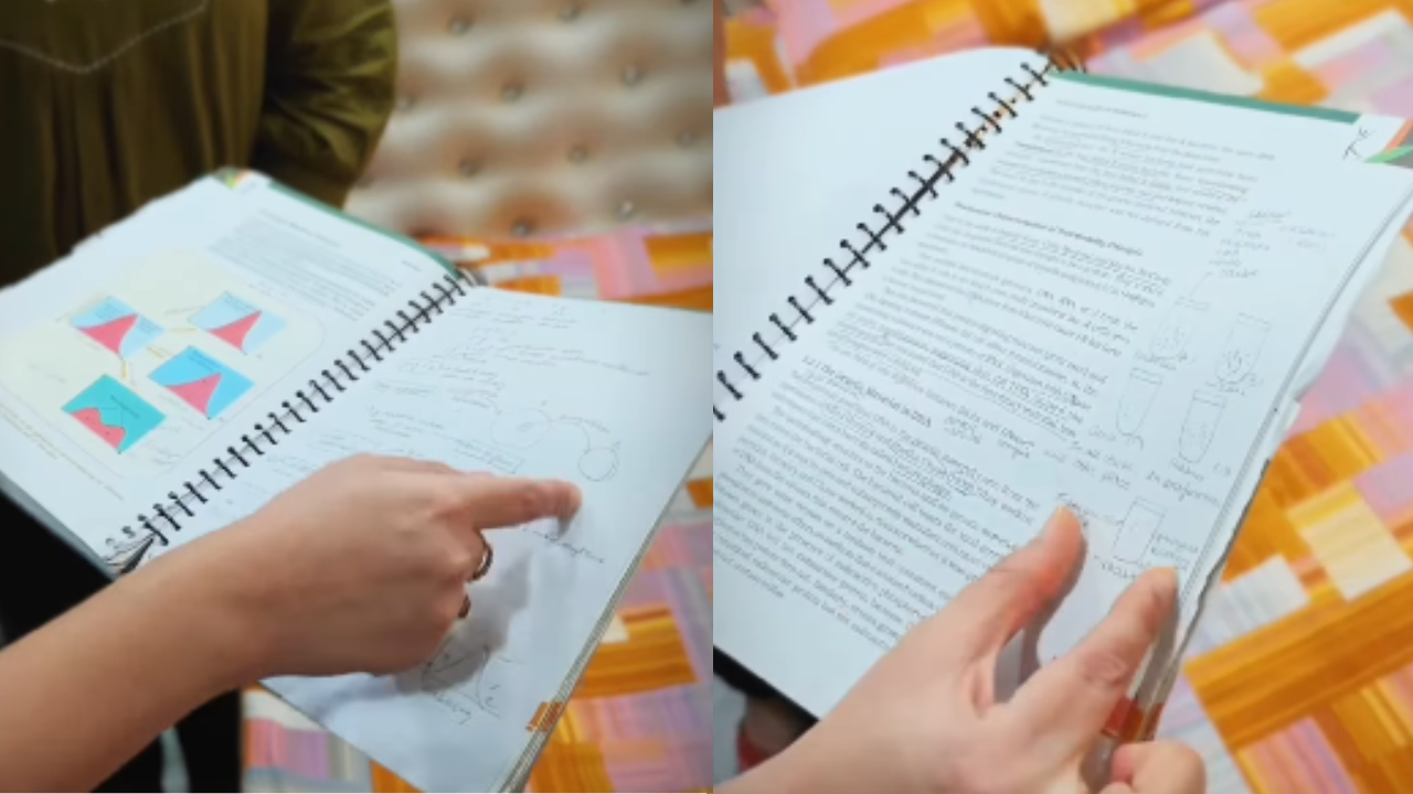 Cbse Board Exams Strategy: How CBSE topper prepared her notes to score 99.6%: Takeaway for parents and kids from this unique all-in-one method