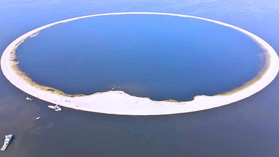 Protecting Life: Poland spent millions on an artificial island to protect rare birds and conserve wildlife | World News