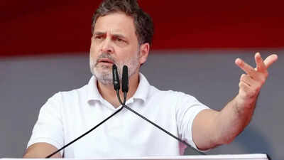 West Bengal election results: Cracks in oppn? Rahul sends message to leaders 'gloating' about TMC's loss | India News