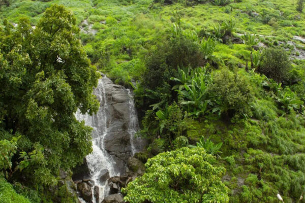 Kerala braces for more heavy rainfall as IMD issues yellow alert across several districts; what travellers need to know