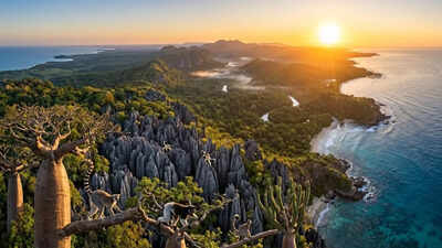 Remained isolated for 180 million years: How Madagascar Island became a hotspot for Earth’s unique creatures | World News