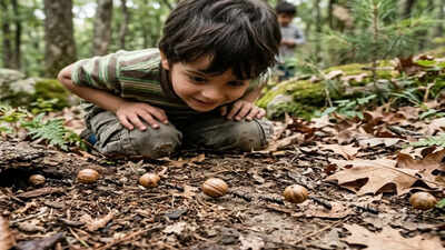 8-year-old boy’s curiosity about 'seed-like' balls in his backyard uncovered a hidden ant network |