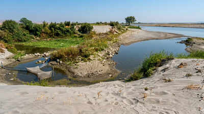 Why Yamuna Is Now Brownish Narrow Stream | Delhi News