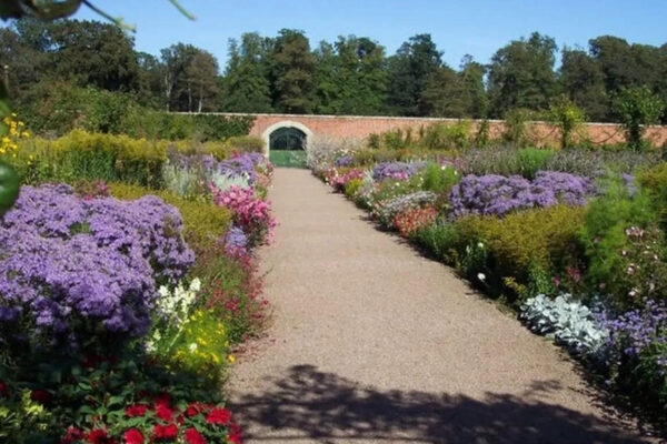 Why repeating plants makes a garden border look instantly better