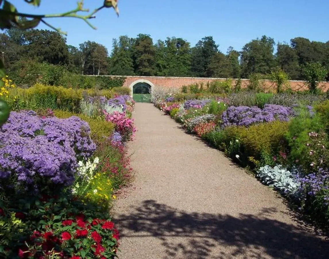 Why repeating plants makes a garden border look instantly better