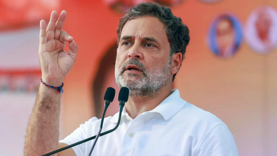 'Please speed up my returns': Rahul Gandhi's response to his 'BJP-supporter' financer wins internet | India News