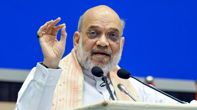 'Infiltration a major challenge': Amit Shah says panel on 'unnatural demographic change' set up | India News