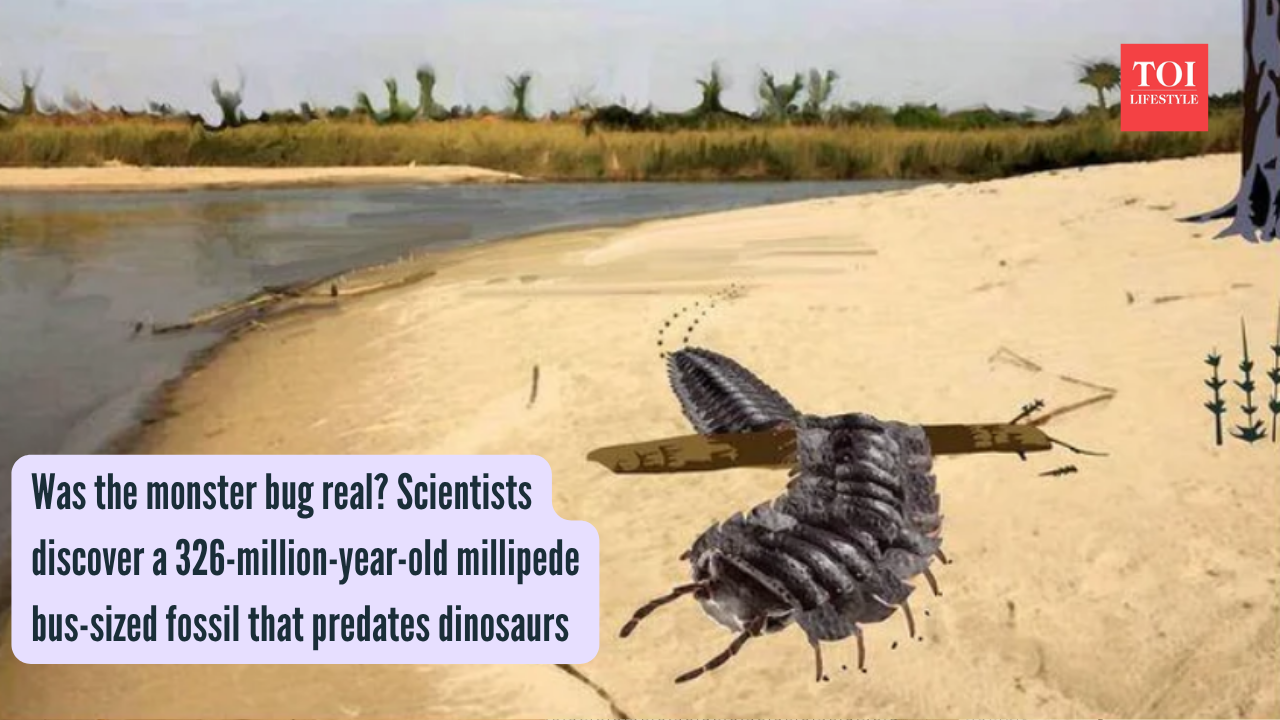 Monster Millipede: Was the monster bug real? Scientists discover a 326-million-year-old millipede bus-sized fossil that predates dinosaurs