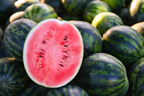 How to reach the ‘Watermelon Capital of India’ and experience the sweetest summer escape