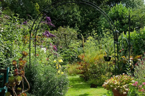 The simple evergreen-to-flowering trick that makes flower beds look good all year |