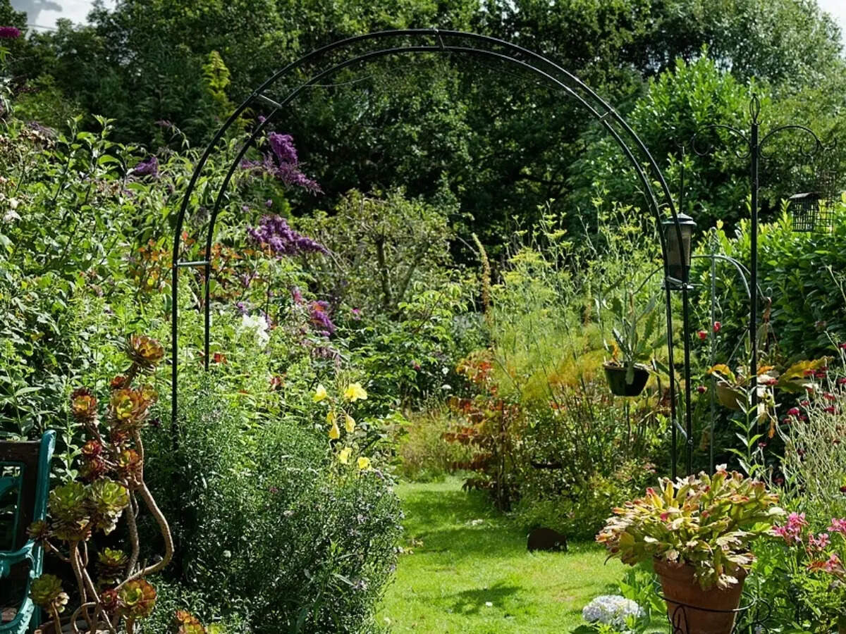 The simple evergreen-to-flowering trick that makes flower beds look good all year |