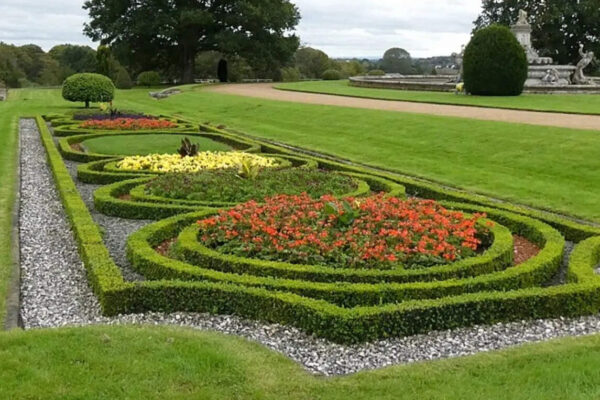 The biggest mistake people make with full-sun flower beds that start looking dull by late summer