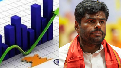 Evening news wrap: India's GDP growth beats expectations in final quarter; K Annamalai launches new political movement & more | India News