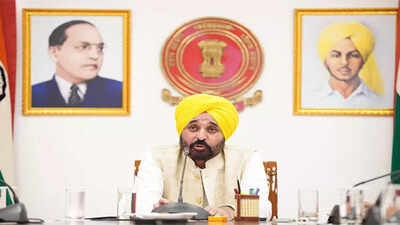 No paper leak in Punjab since 2022, students got opportunities based on merit: Mann | India News