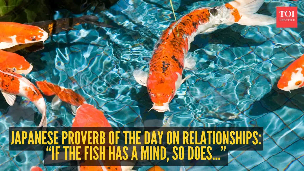 Japanese proverb of the day on relationships: “If the fish has a mind, so does...”