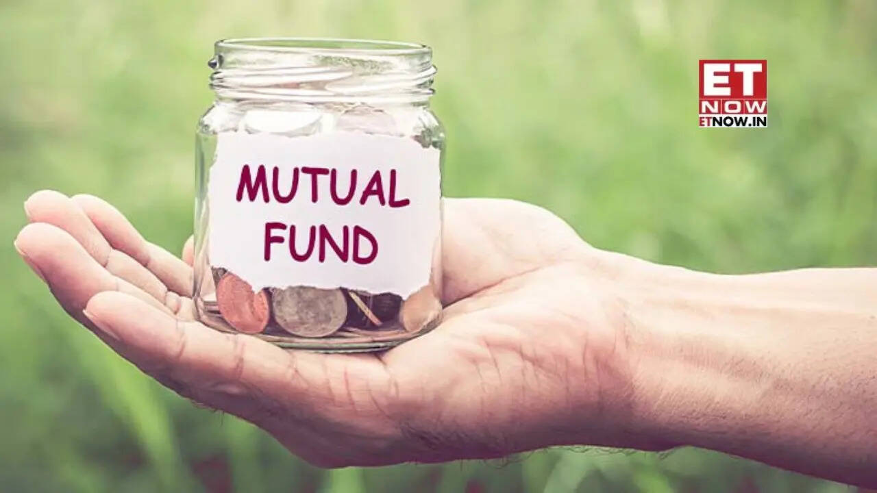 Mutual Fund Losers: Top 10 schemes with over 10% negative returns in 12 months; Tata, HDFC, Bandhan, Aditya Birla and others in LIST - Mutual Funds