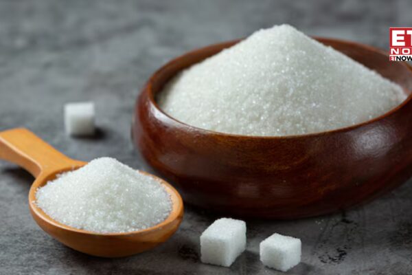 Sugar stocks surge after Nitin Gadkari backs cheaper Ethanol, signals shift towards Isobutanol - Markets