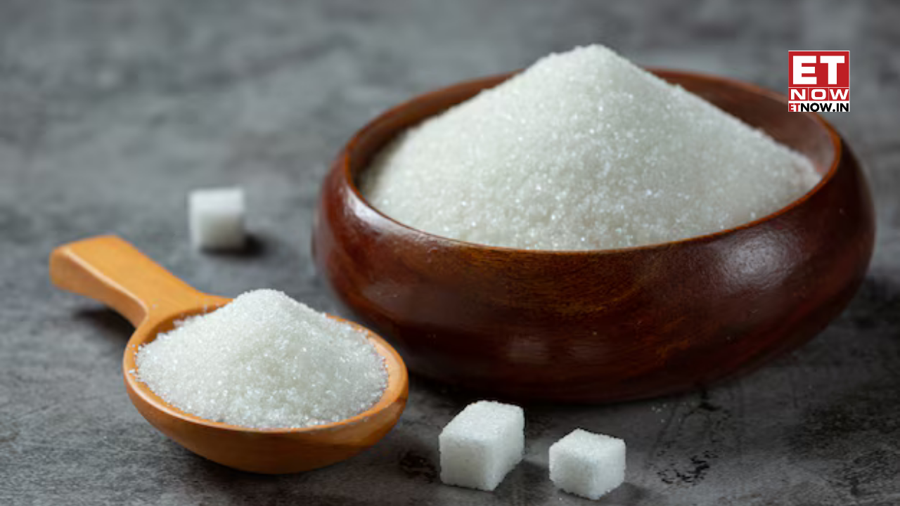 Sugar stocks surge after Nitin Gadkari backs cheaper Ethanol, signals shift towards Isobutanol - Markets