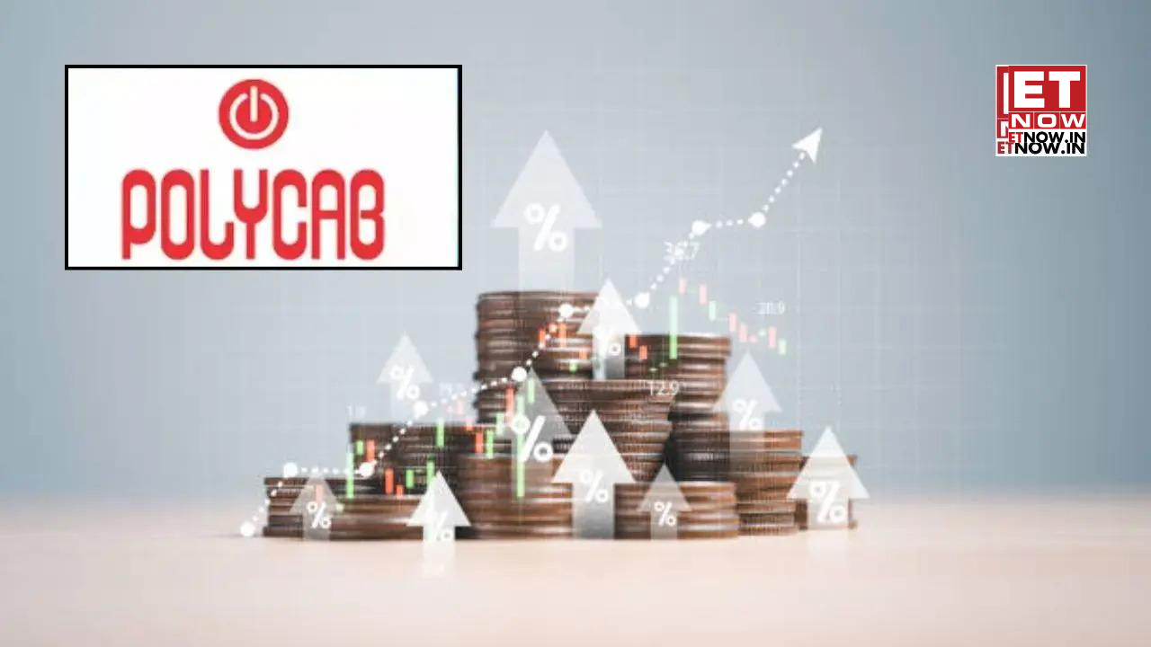 Polycab shares in focus as Citi stays bullish; sees nearly 10% upside on demand recovery - Check target price - Markets