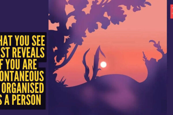 Optical illusion personality test: Trees or face? What you see first reveals if you are spontaneous or organised as a person